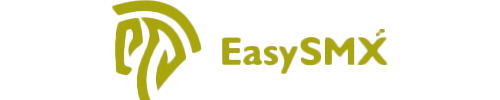 EasySMX